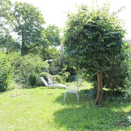 Apartment Rheingold Bayreuth Buitenkant foto