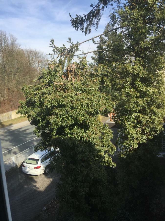 Apartment Rheingold *